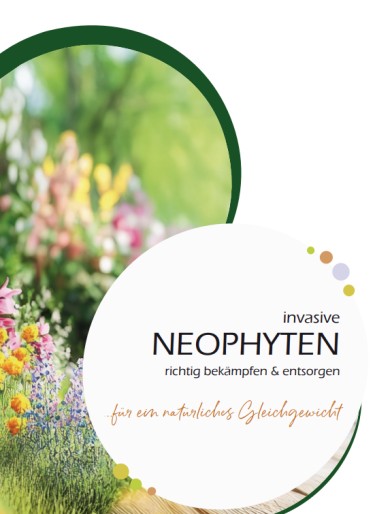 Invasive Neophyten richtig bekämpfen und entsorgen