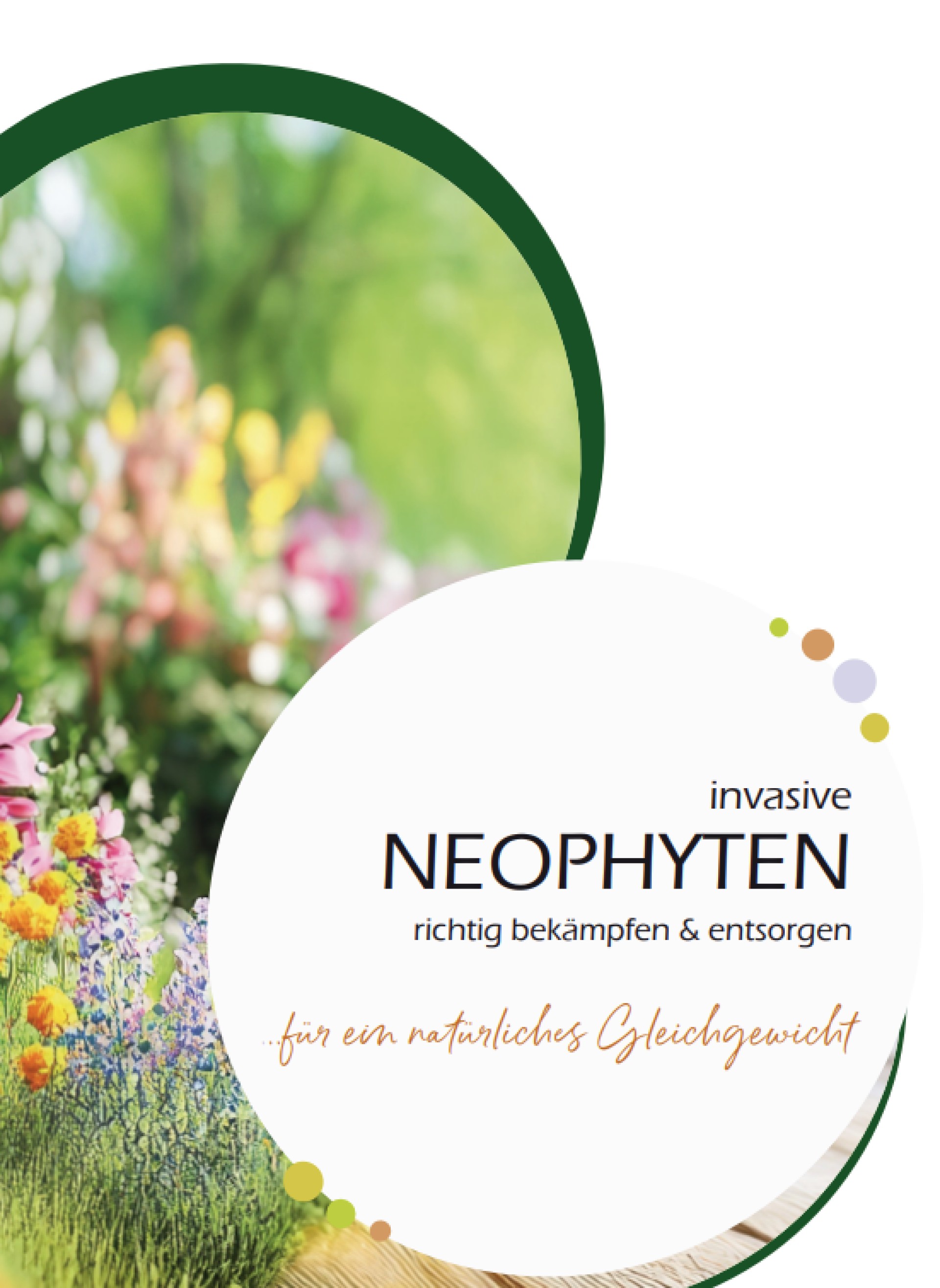 Invasive Neophyten richtig bekämpfen und entsorgen