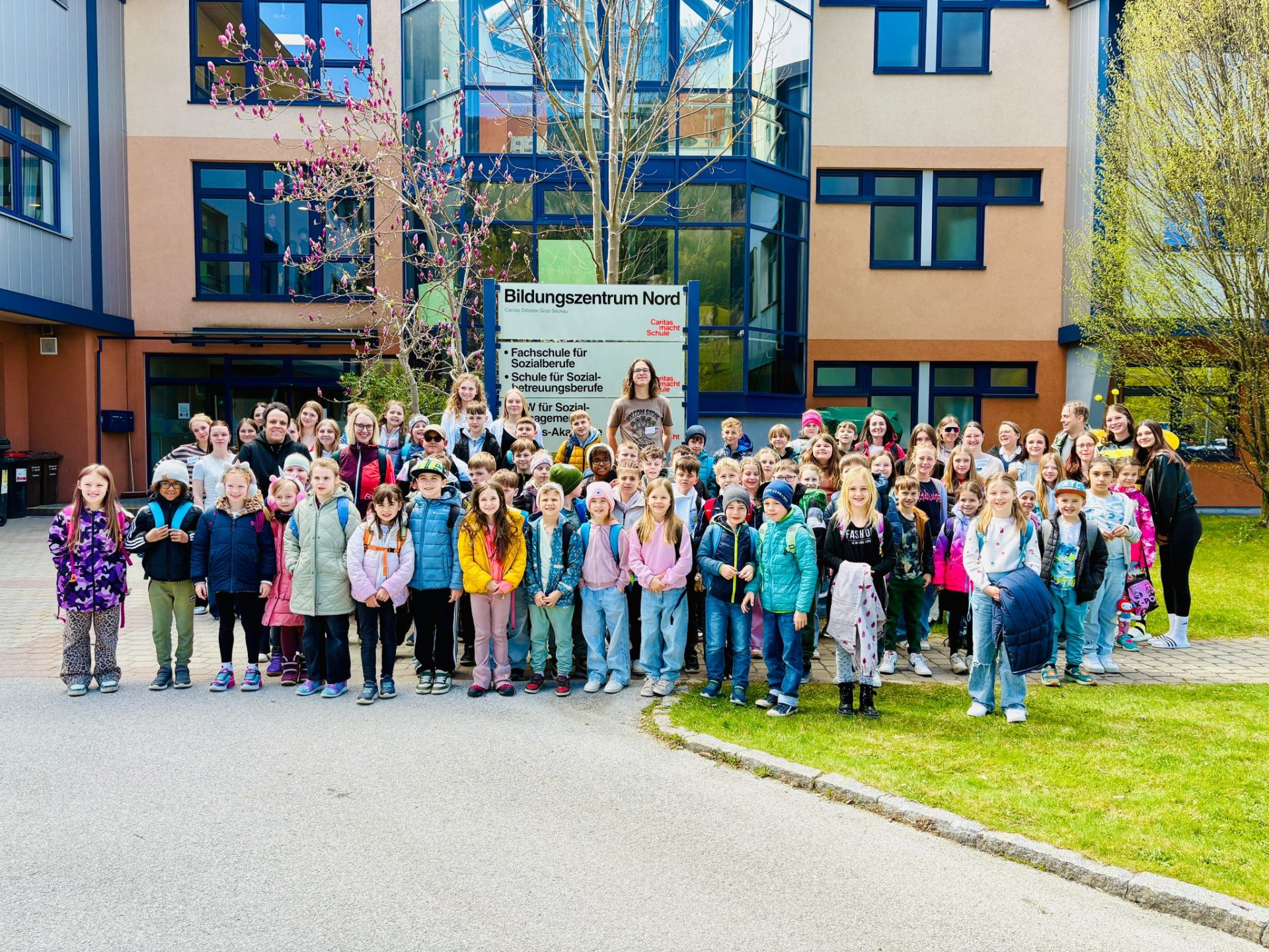 "Bee Healthy" - diesmal in der HLW Rottenmann