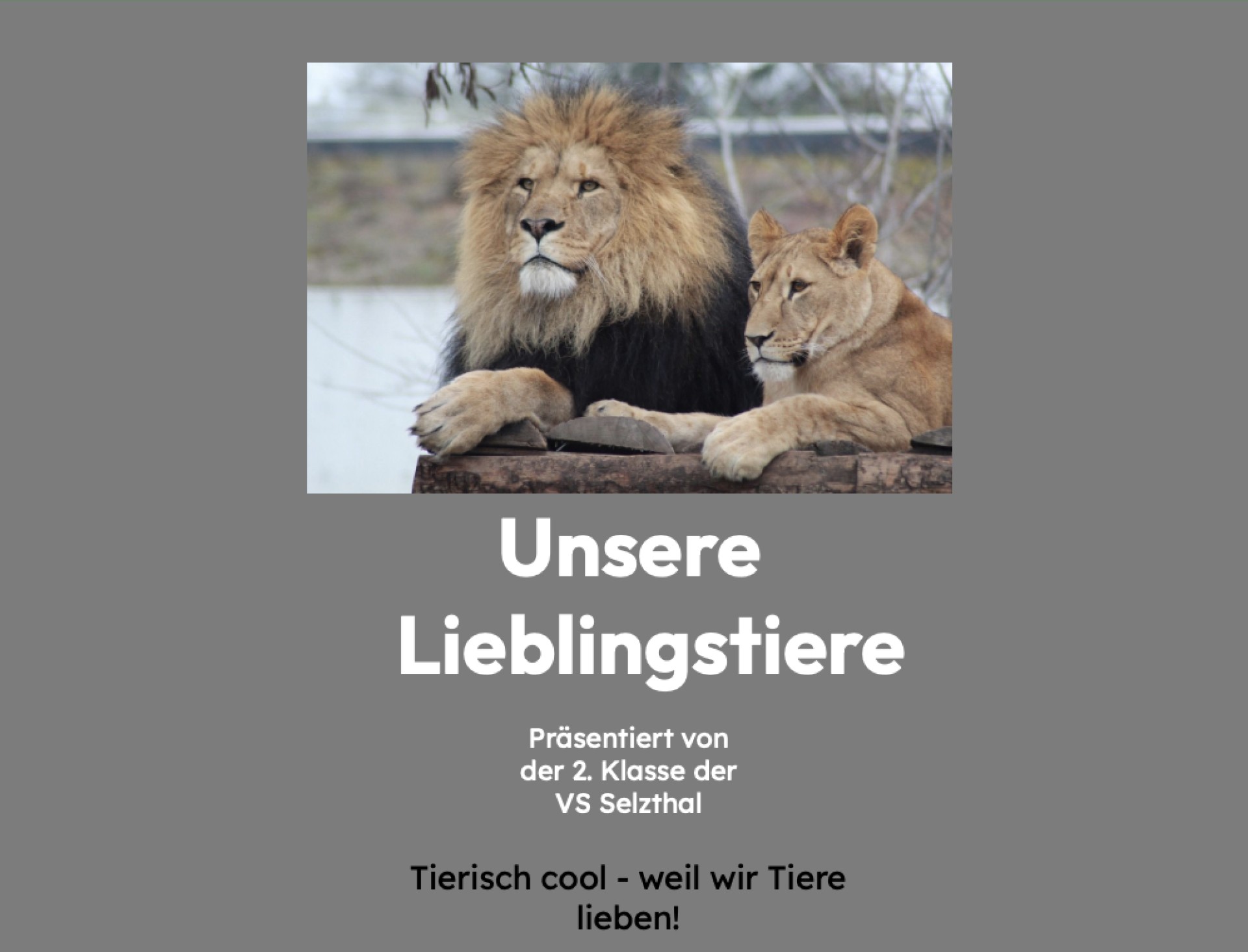 Unsere Lieblingstiere: Ein digitales Buch der 2. Klasse
