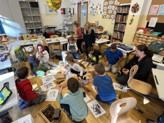 Holz macht Schule - Workshop in der 1. und 2. Klasse