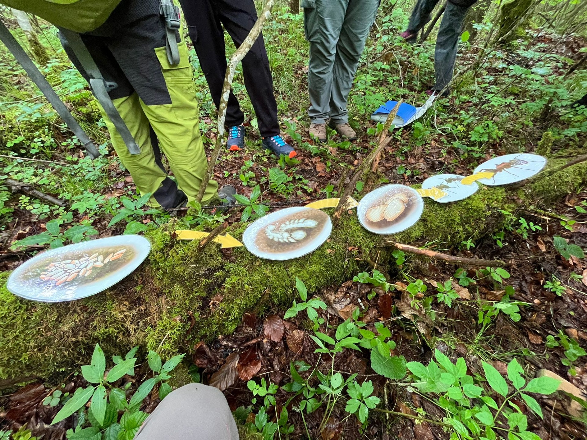 3. Nationalparktag im Weidendom